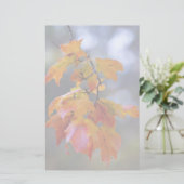 紅葉 便箋 (スタンド正面)