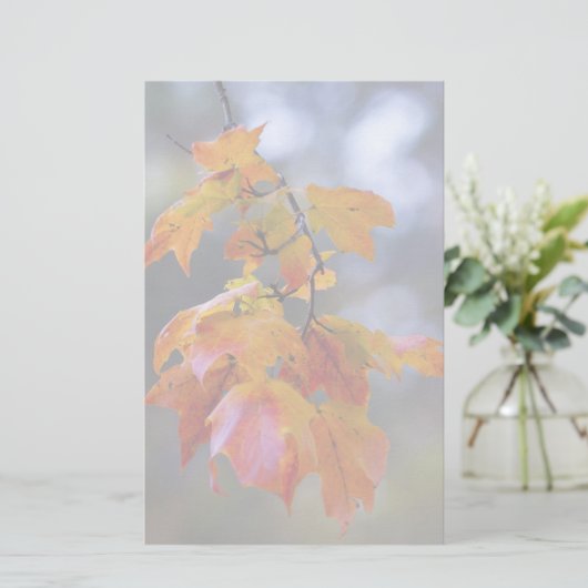 紅葉 便箋 (スタンド正面)