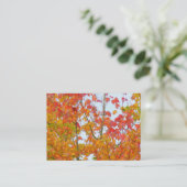 紅葉 名刺 (スタンド正面)