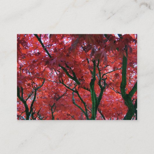 紅葉 名刺 (正面)