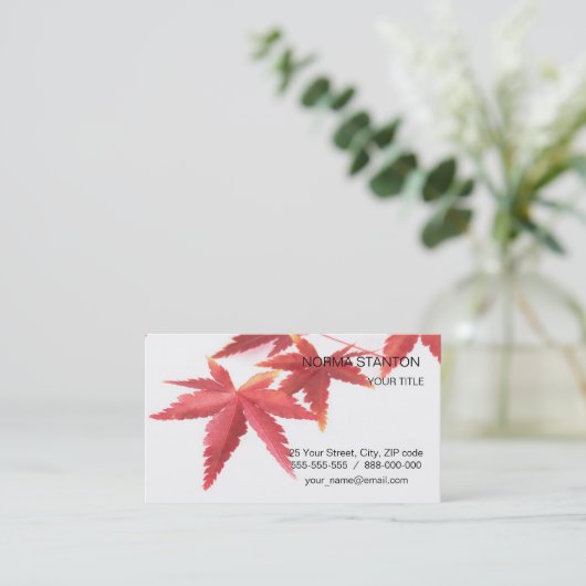 紅葉 名刺 (スタンド正面)