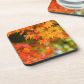 紅葉[懸命プラスチックコースター] コースター (左側)