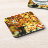 紅葉[懸命プラスチックコースター] コースター (左側)