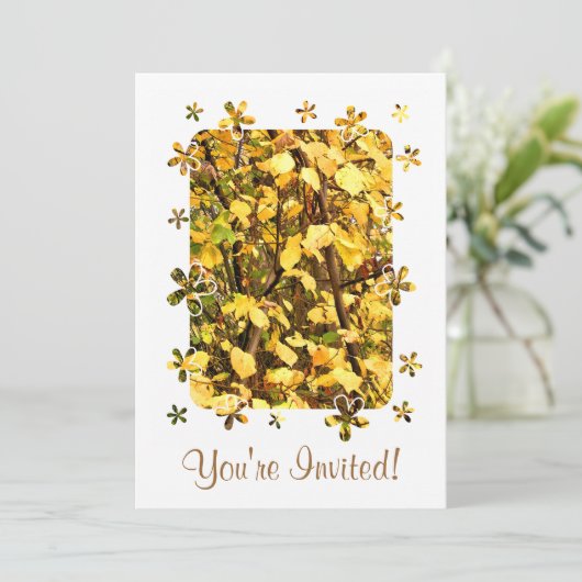 紅葉 招待状 (スタンド正面)