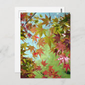 紅葉：日本 ポストカード (正面/裏面)