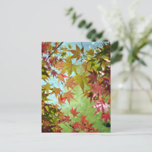 紅葉:日本 ポストカード