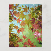 紅葉：日本 ポストカード (正面)