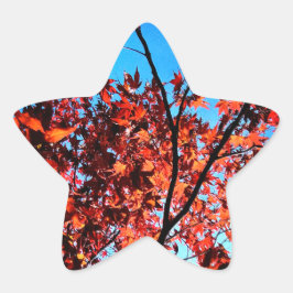 紅葉 星シール