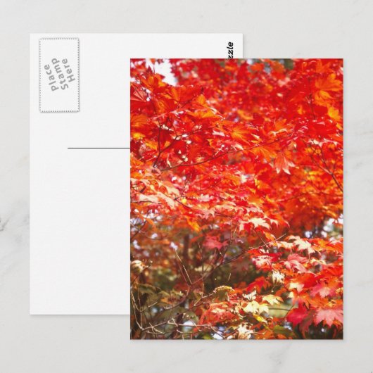 紅葉，札幌 ポストカード (正面/裏面)