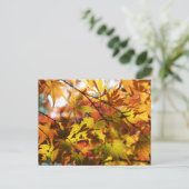 紅葉:東京 ポストカード (スタンド正面)