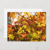 紅葉:東京 ポストカード (正面/裏面)