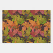 紅葉、果実および葉 ラッピングペーパーシート (正面)