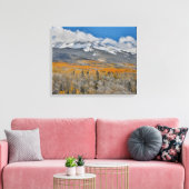 紅葉《植物》アスペンと |コロラド州，ロッキー山脈 キャンバスプリント (インサイチュ (リビング))