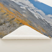 紅葉《植物》アスペンと |コロラド州,ロッキー山脈 シェルパブランケット (3/4)