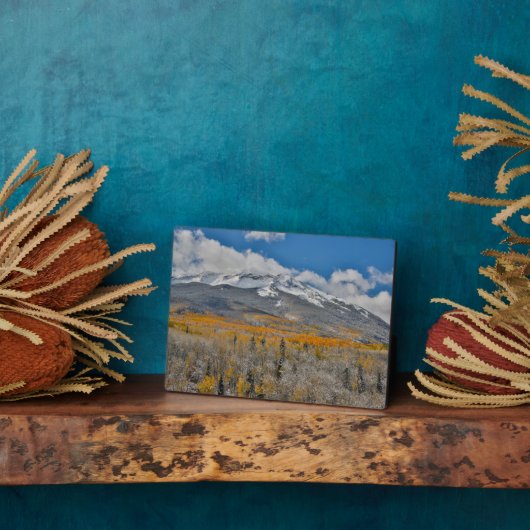 紅葉《植物》アスペンと |コロラド州，ロッキー山脈 フォトプラーク (側面)