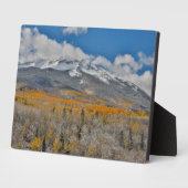 紅葉《植物》アスペンと |コロラド州，ロッキー山脈 フォトプラーク (側面)