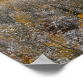 紅葉《植物》アスペンと |コロラド州，ロッキー山脈 ポスター (角)