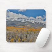 紅葉《植物》アスペンと |コロラド州，ロッキー山脈 マウスパッド (マウス)