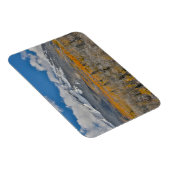 紅葉《植物》アスペンと |コロラド州，ロッキー山脈 マグネット (右側)