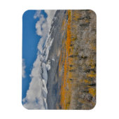 紅葉《植物》アスペンと |コロラド州，ロッキー山脈 マグネット (縦)