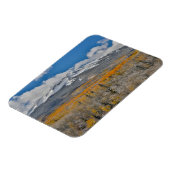 紅葉《植物》アスペンと |コロラド州，ロッキー山脈 マグネット (左側)