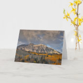 紅葉《植物》アスペンキーブラーパス カード (黄色い花)