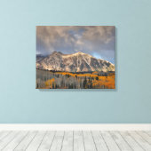 紅葉《植物》アスペンキーブラーパス キャンバスプリント (インサイチュ (ウッドフロア))