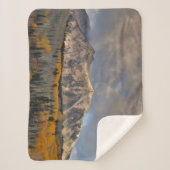 紅葉《植物》アスペンキーブラーパス シェルパブランケット (正面)