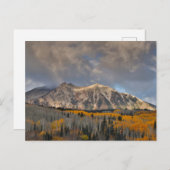 紅葉《植物》アスペンキーブラーパス ポストカード (正面/裏面)