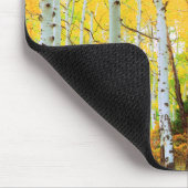 紅葉《植物》アスペンツリー1 マウスパッド (コーナー)