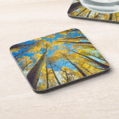 紅葉《植物》アスペンツリー2 コースター (左側)