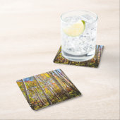 紅葉《植物》アスペンツリー5 スクエアペーパーコースター (インサイチュ)