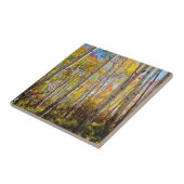 紅葉《植物》アスペンツリー5 タイル (側面)