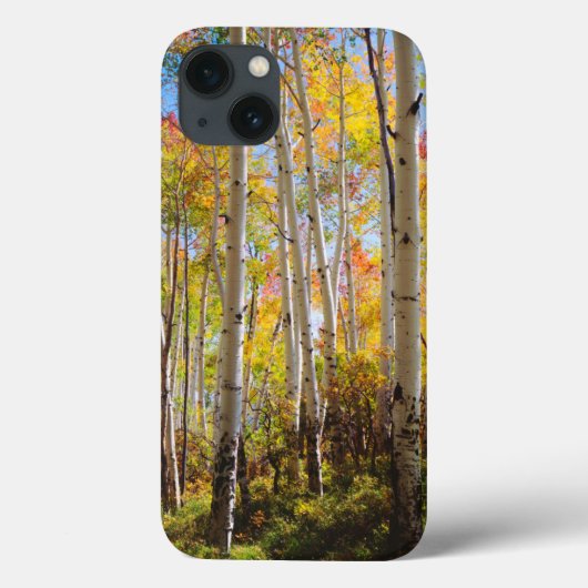 紅葉《植物》アスペンツリー5 Case-Mate iPhoneケース (裏面)