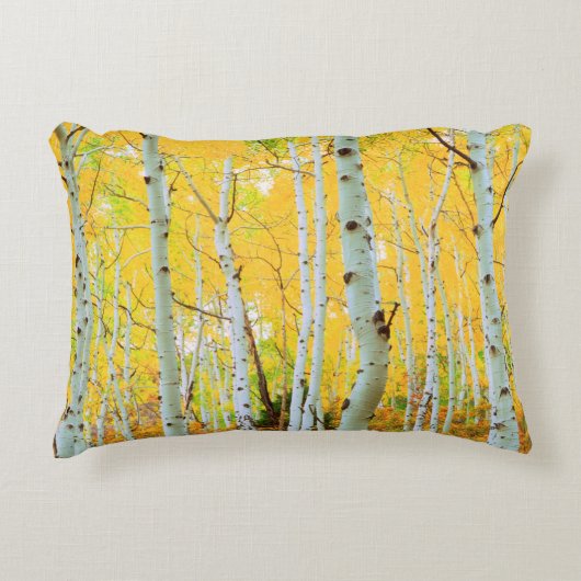 紅葉《植物》アスペン木1 アクセントクッション (正面)