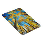 紅葉《植物》アスペン木2 マグネット (右側)