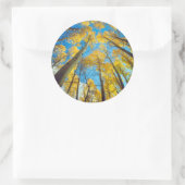 紅葉《植物》アスペン木2 ラウンドシール (バッグ)