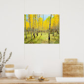 紅葉《植物》アスペン木4 ポスター (キッチン)