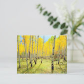 紅葉《植物》アスペン木4 ポストカード (スタンド正面)