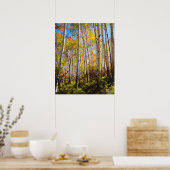 紅葉《植物》アスペン木5 ポスター (キッチン)