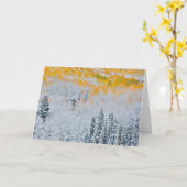 紅葉《植物》アスペン |コロラド州,ロッキー山脈 カード (黄色い花)