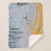 紅葉《植物》アスペン |コロラド州，ロッキー山脈 シェルパブランケット (正面)