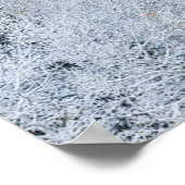 紅葉《植物》アスペン |コロラド州,ロッキー山脈 ポスター (角)