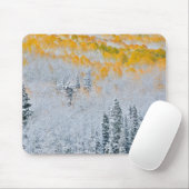 紅葉《植物》アスペン |コロラド州，ロッキー山脈 マウスパッド (マウス)