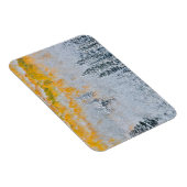 紅葉《植物》アスペン |コロラド州，ロッキー山脈 マグネット (右側)