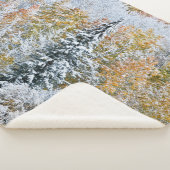 紅葉《植物》アスペン&スノーキーブラー峠 シェルパブランケット (3/4)