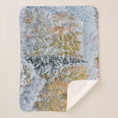 紅葉《植物》アスペン&スノーキーブラー峠 シェルパブランケット (正面)