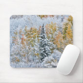 紅葉《植物》アスペン&スノーキーブラー峠 マウスパッド (マウス)