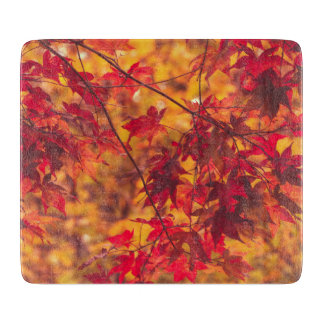 紅葉 秋の葉 紅葉狩り 自然 カッティングボード