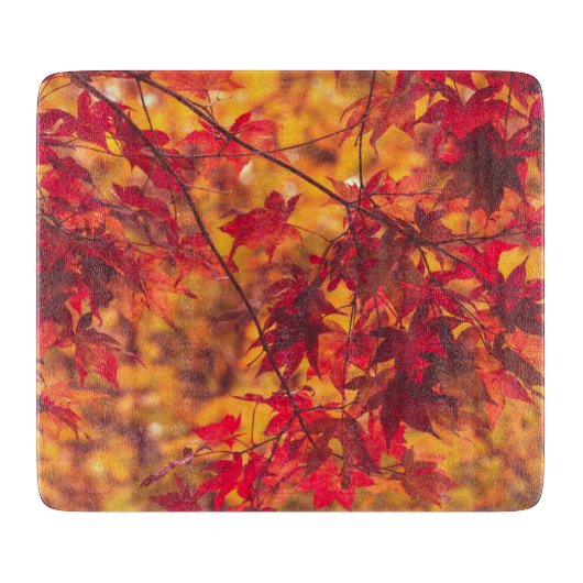 紅葉 秋の葉 紅葉狩り 自然 カッティングボード (正面)